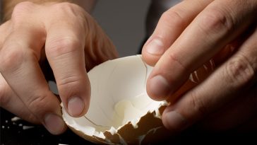 Eggshell Hassles with This Genius Trick