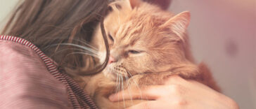 Who Would You Rather Save, A Cat Or A Criminal? If You Chose Cat, You Are Not Alone