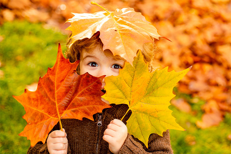 Born in the Fall? You're More Likely to Have This Condition, Study Says