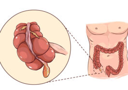 Your Appendix May Not Be Useless After All