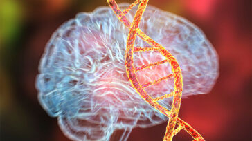 How The Brain Avoids Bipolar Disorder Despite Genetic Risk
