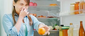 How Long Will Your Food Last in the Fridge Without Power