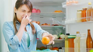 How Long Will Your Food Last in the Fridge Without Power