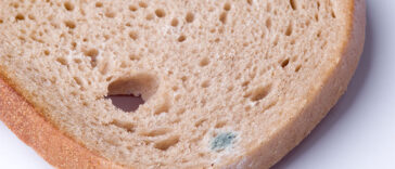Never Eat The ‘Clean’ Part Of Moldy Bread. Here's Why