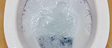 If You Only Knew What Happens In The Air When You Flush A Public Toilet, You Would Be Disgusted