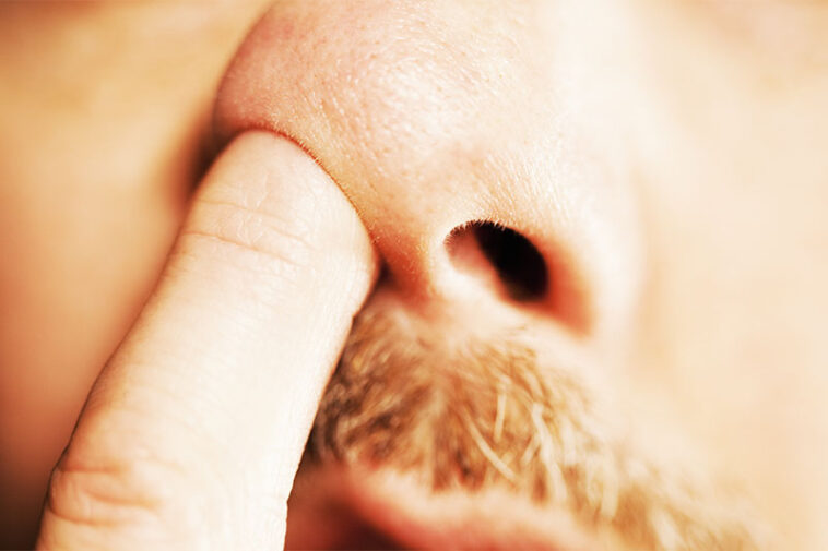 Is Eating Boogers a Good or a Bad Thing? – World Wise News