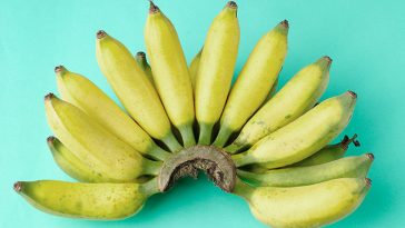 Why You Should Think Twice Before Eating Unripe Bananas