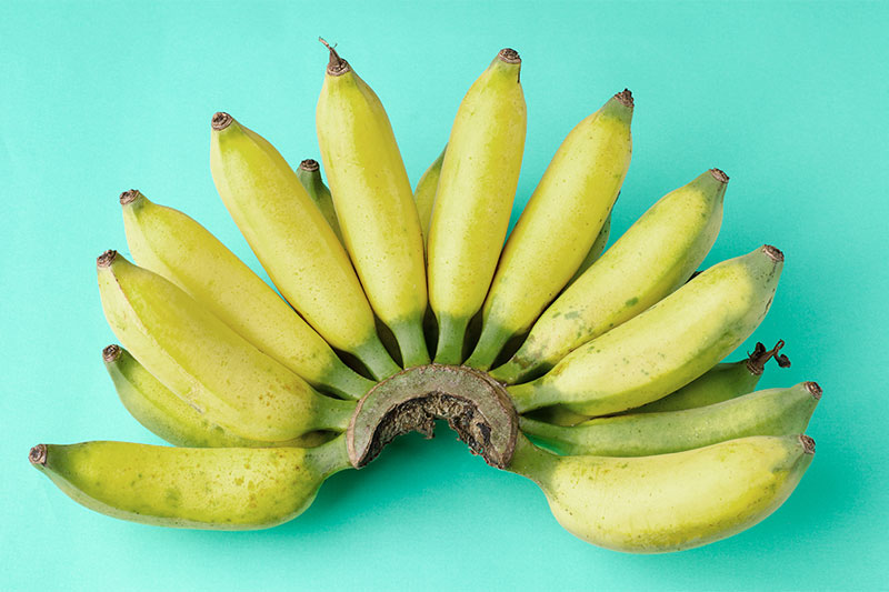 Why You Should Think Twice Before Eating Unripe Bananas