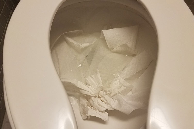 Environmental Damage of Wet Toilet Paper