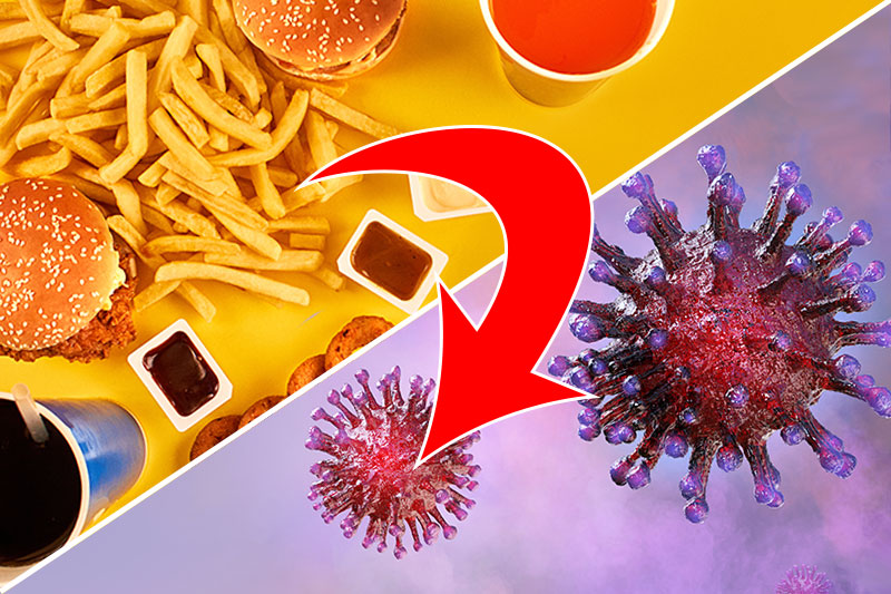 Your Body May Treat Fast Food Like a Dangerous Infection, Mouse Experiment Shows